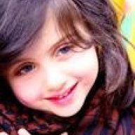 طير الأحلام